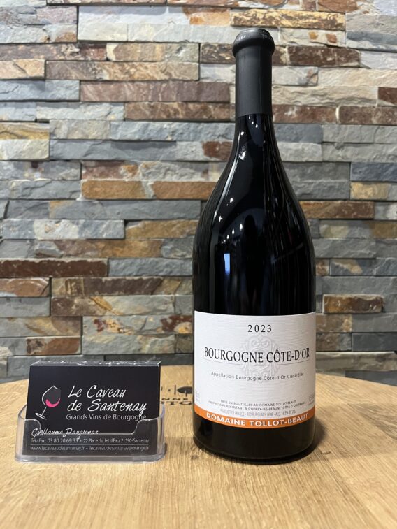 Bourgogne Cote D’Or Rouge 2023 Domaine TOLLOT-BEAUT