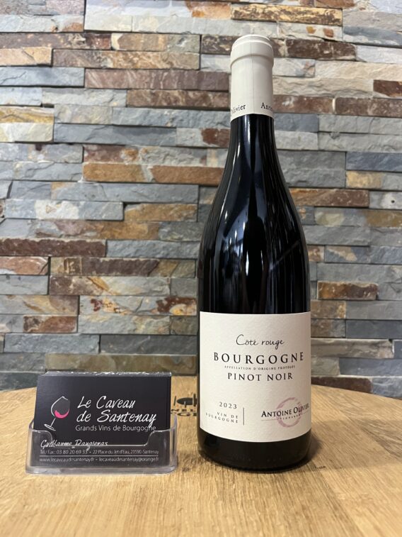 Bourgogne Pinot Noir Rouge 2023 Domaine Antoine OLIVIER