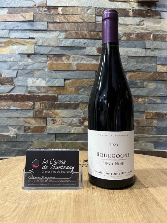 Bourgogne Pinot Noir 2023 Domaine Antoine RENIAUME