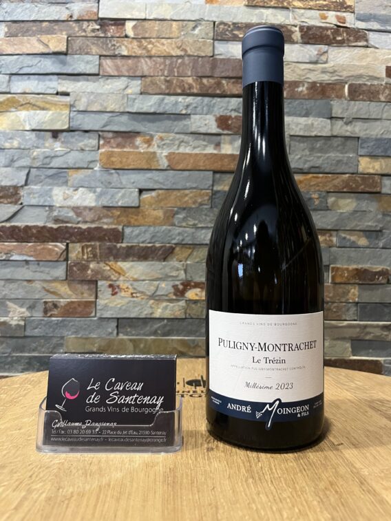 Puligny-Montrachet « Le Trézin » Blanc 2023 Domaine André MOINGEON Et Fils