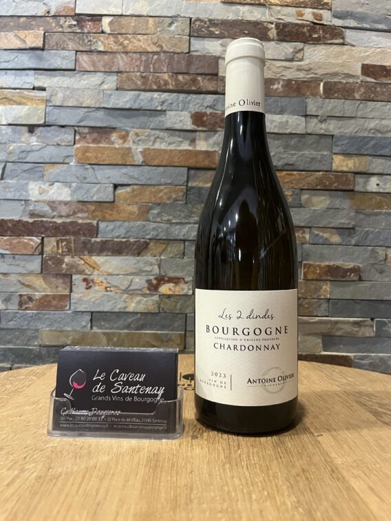 Bourgogne Chardonnay "Les 2 Dindes" Blanc 2023 Domaine Antoine OLIVIER