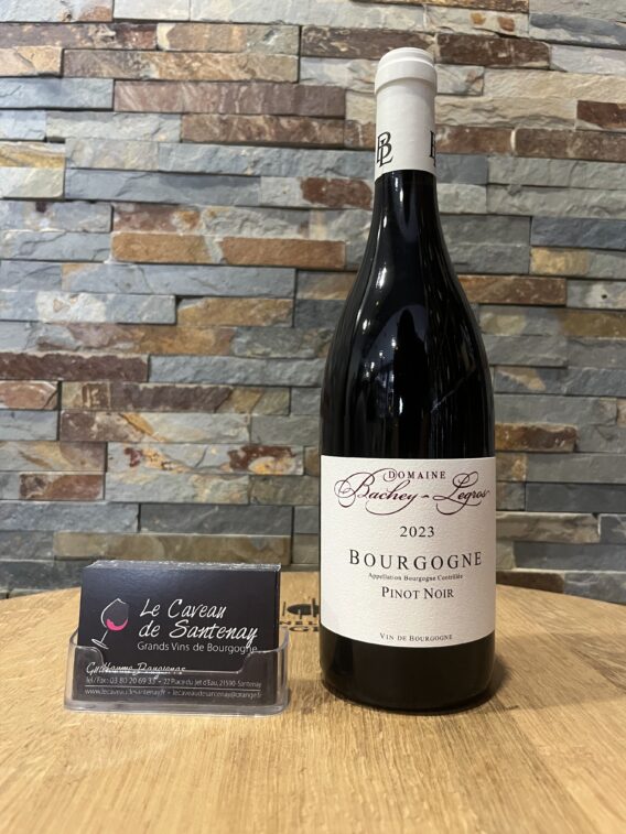 Bourgogne Pinot Noir Rouge 2023 Domaine BACHEY-LEGROS
