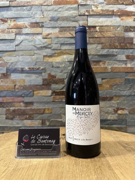 Rully Rouge 2023 Domaine BERGER RIVE