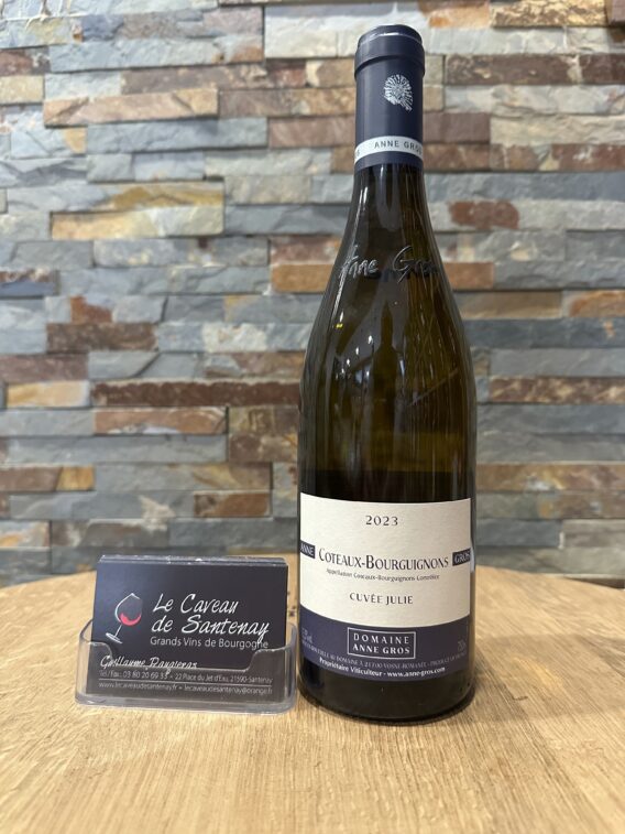 Côteaux Bourguignon Blanc « cuvée Julie » 2023 Domaine Anne GROS