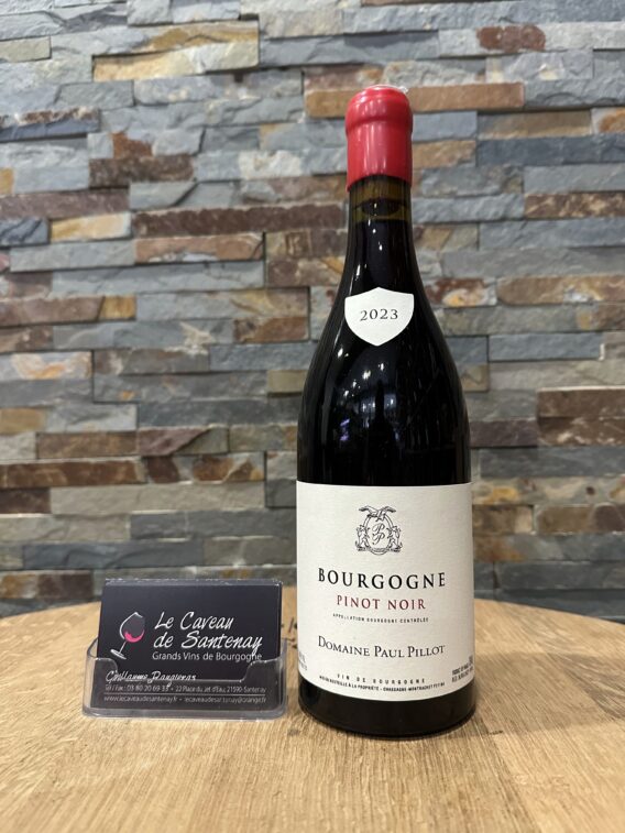 Bourgogne Pinot Noir 2023 Domaine Paul PILLOT