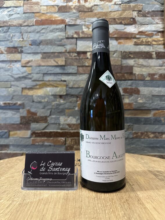 Bourgogne Aligoté 2023 Domaine Marc MOREY