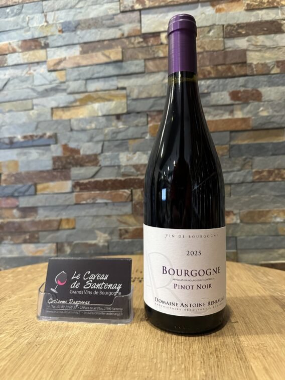 Bourgogne Pinot Noir 2025 Domaine Antoine RENIAUME