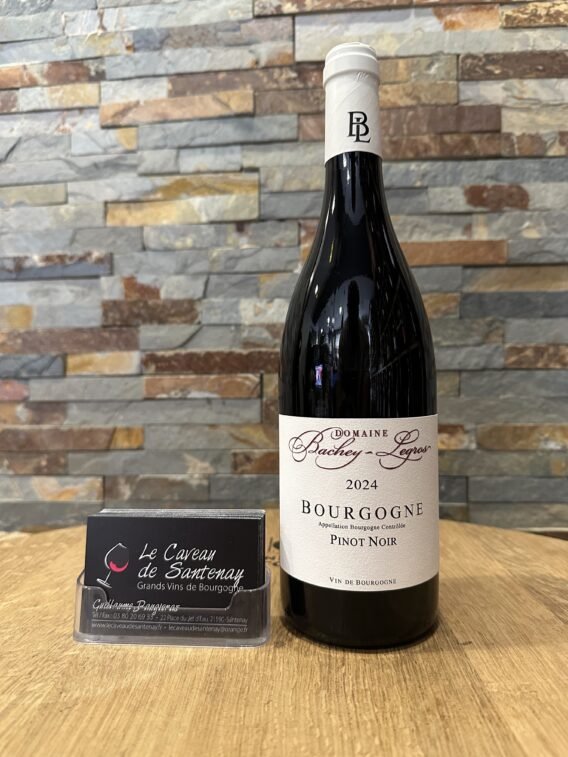 Bourgogne Pinot Noir 2024 Domaine BACHEY-LEGROS
